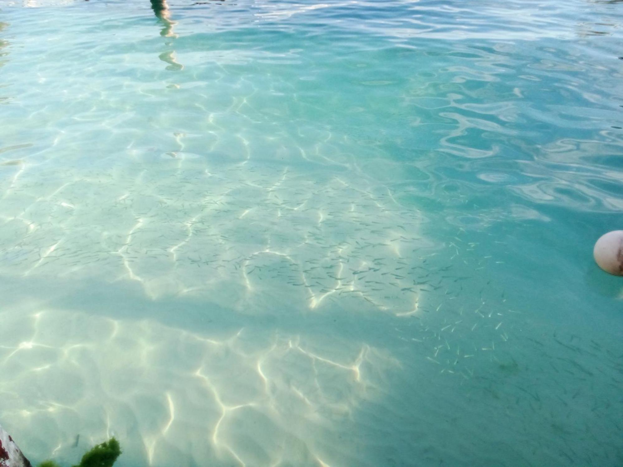 Hidden Island Glamping Isla Mujeres 호텔 외부 사진